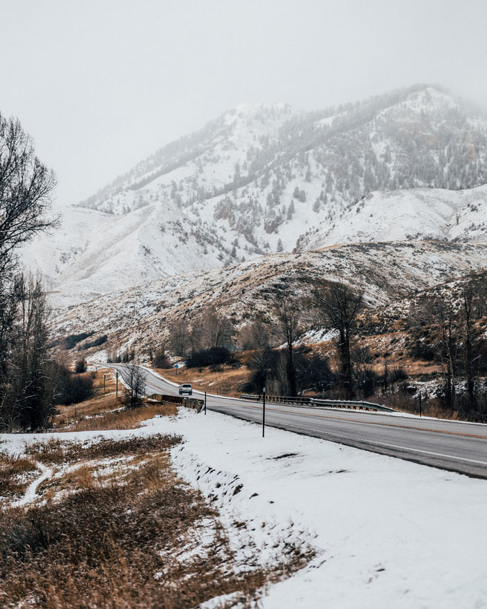 The mixed textures of snow, grass, road and trees create contrast and depth.